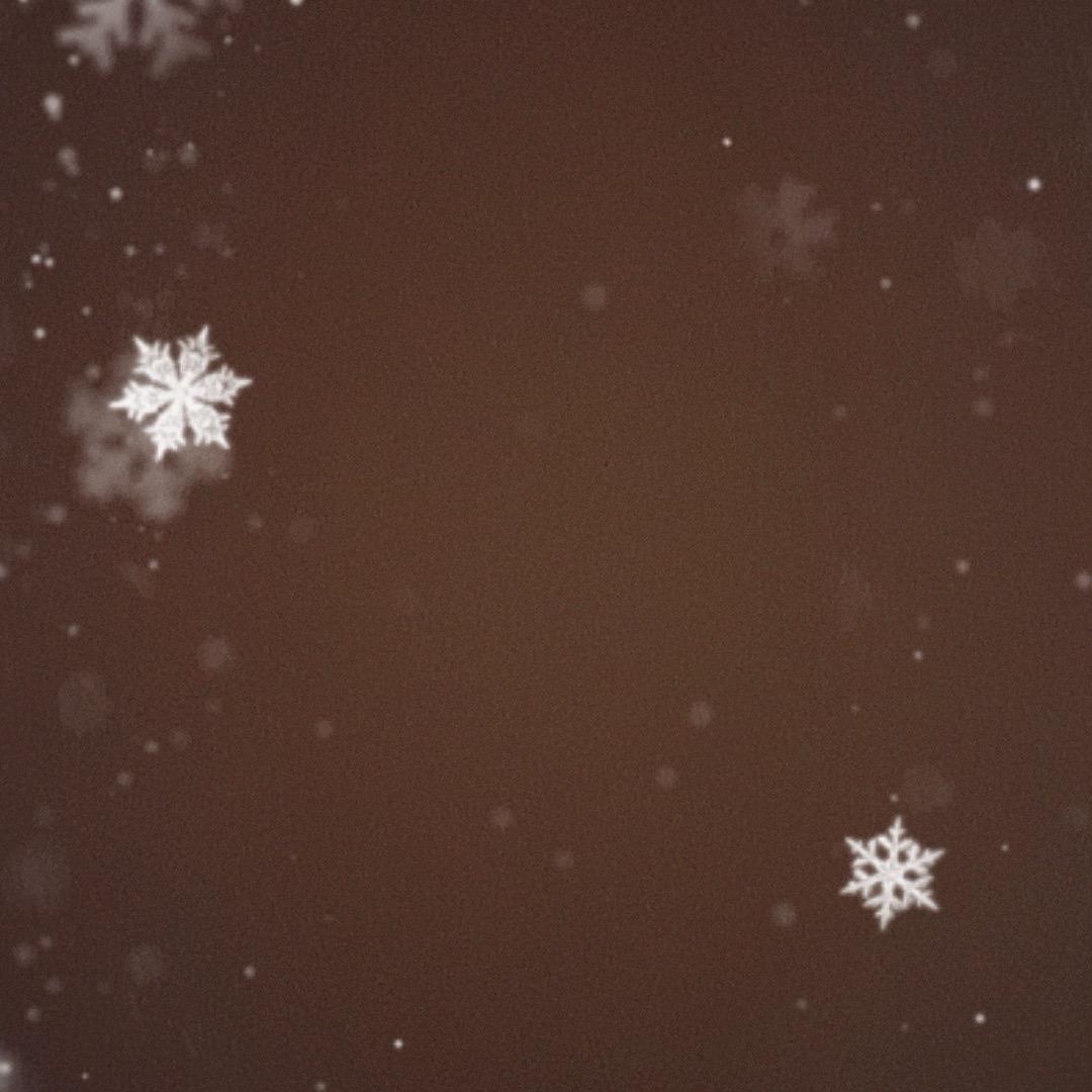 铁蛋回村新方向