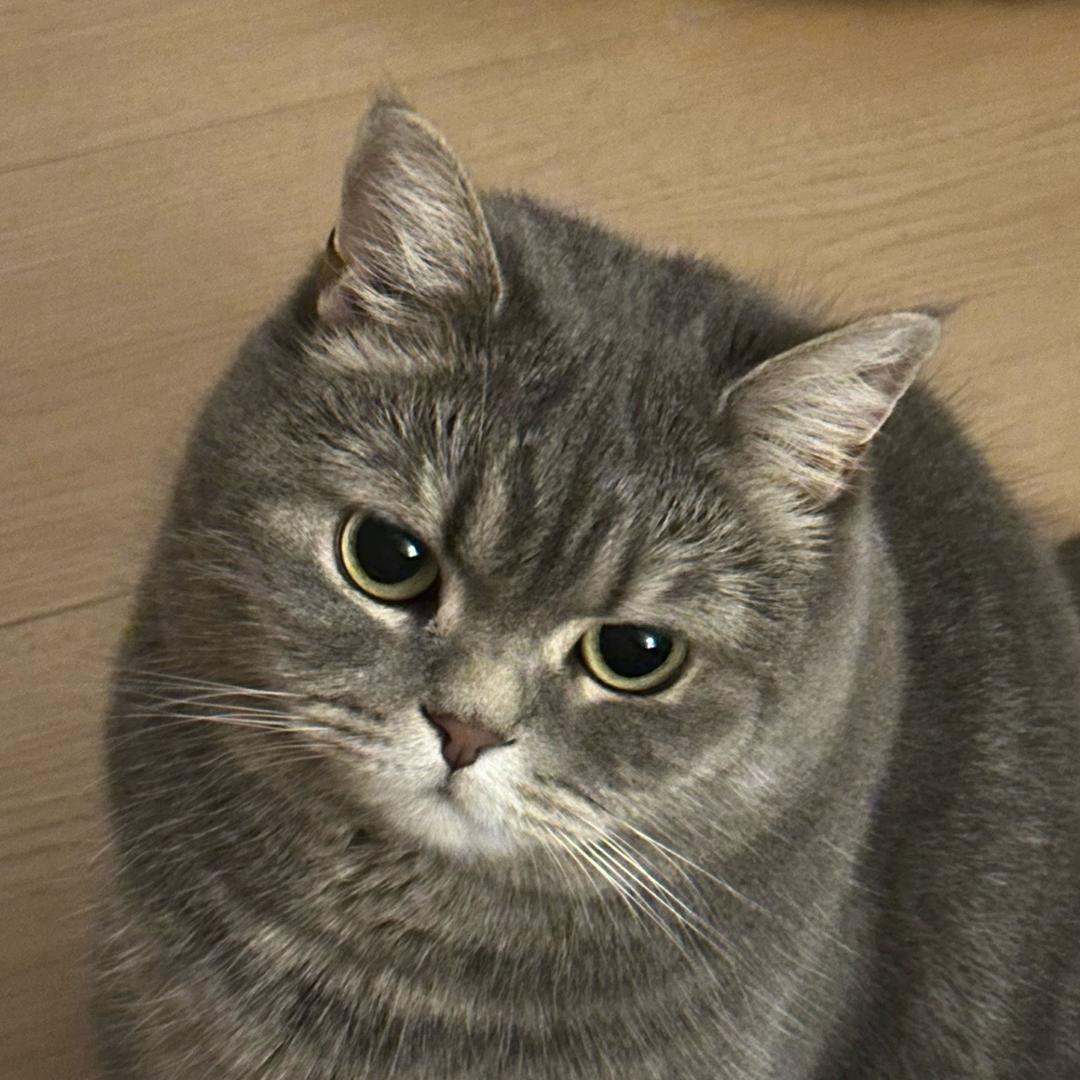 米米wink