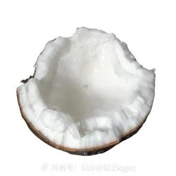 暴戾的赤狐