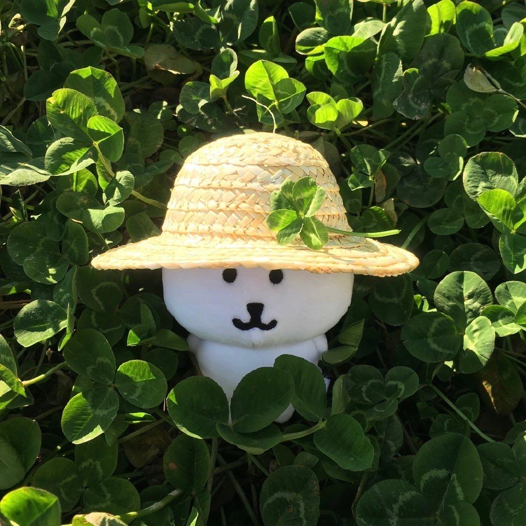 mochi-