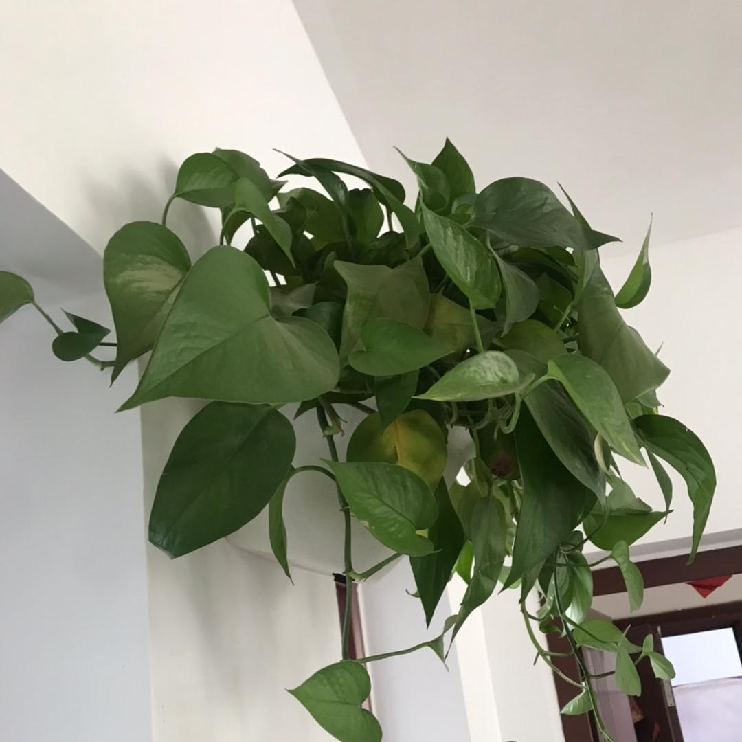 心中注满爱