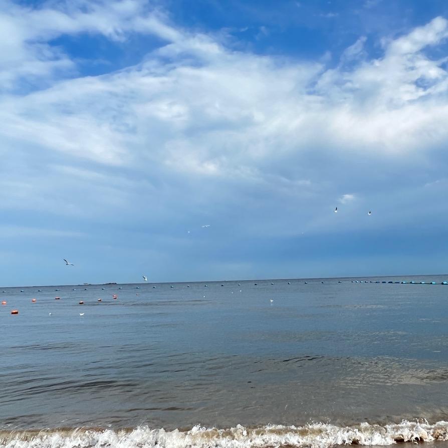 阳光大叔°°°°