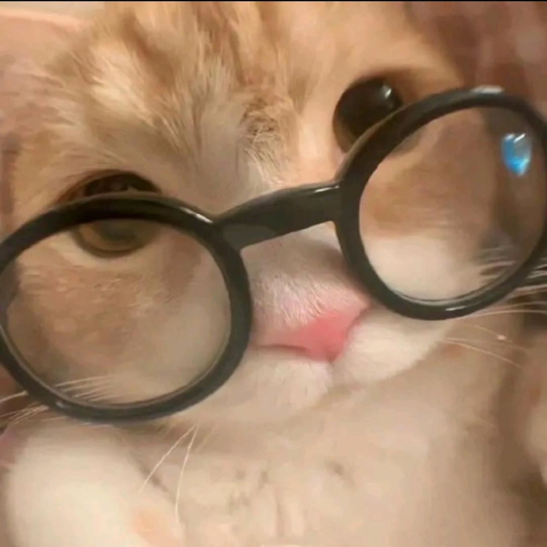 :o