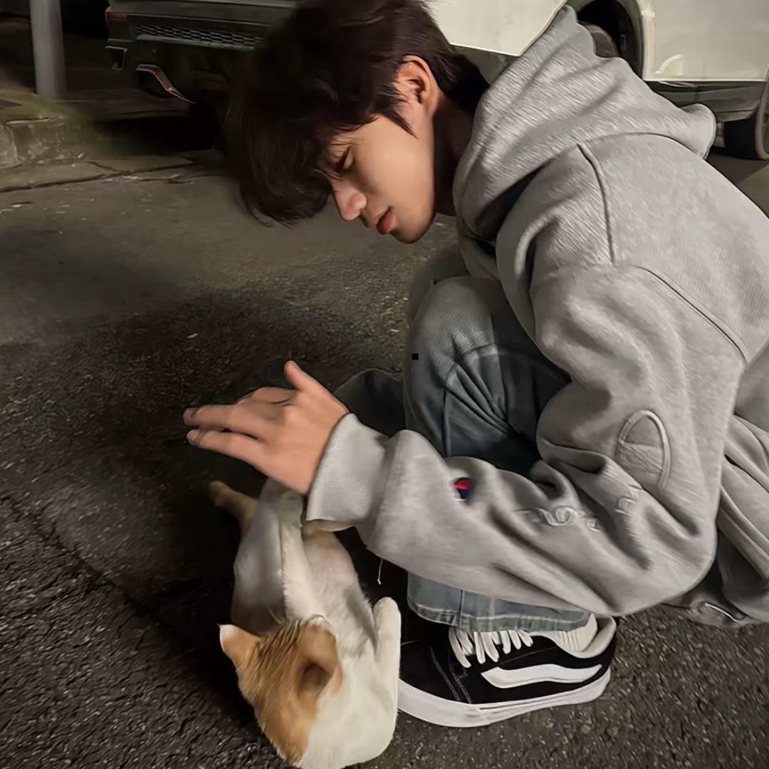 ︉︋誓言︍︋︋︉︋︍︋︋