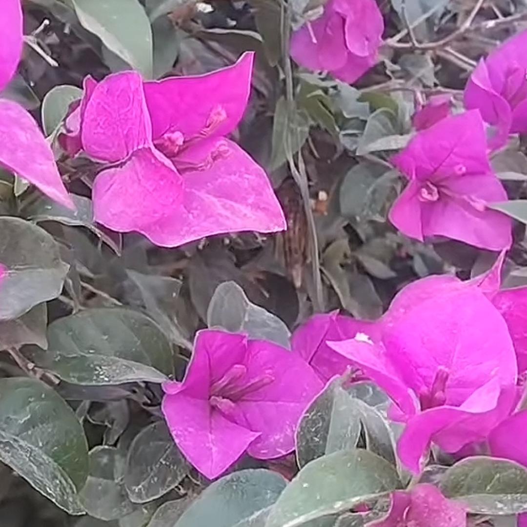 雨过天晴
