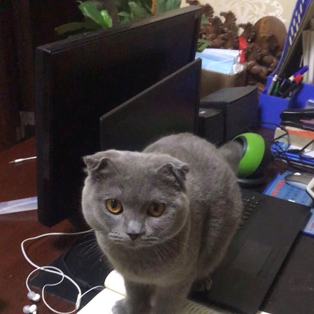 华秋风