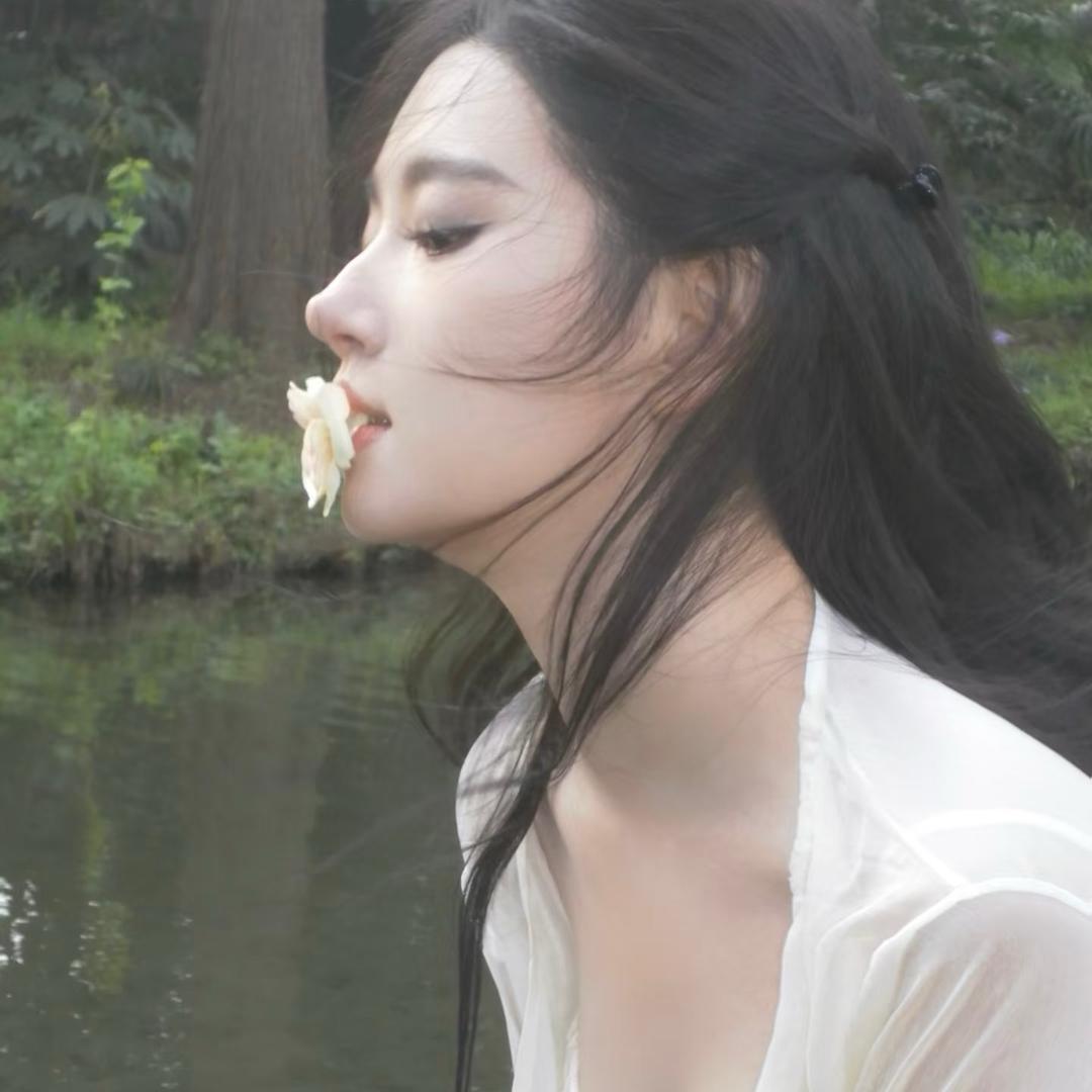 一只七七