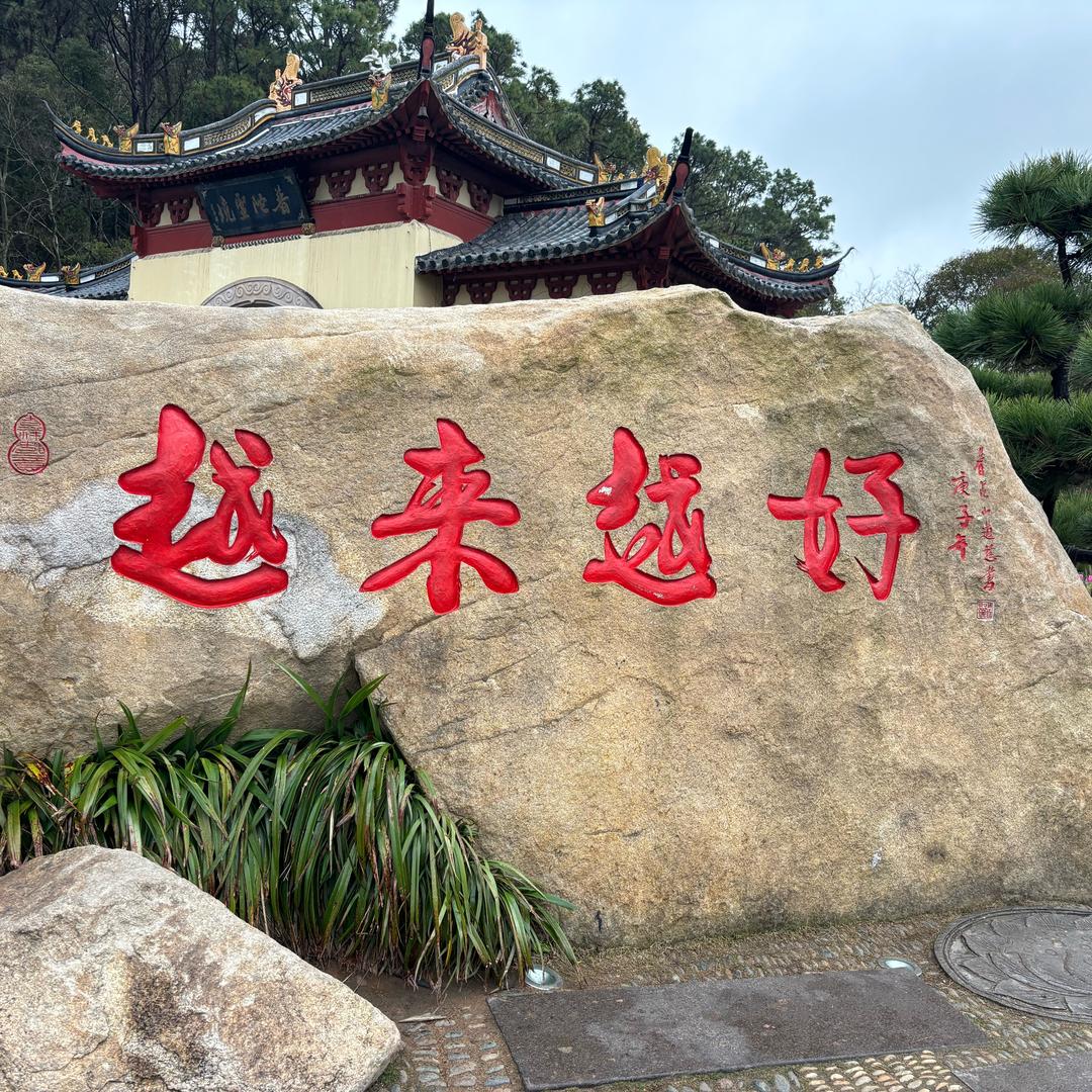 工地一姐❤️专业打水泥地面