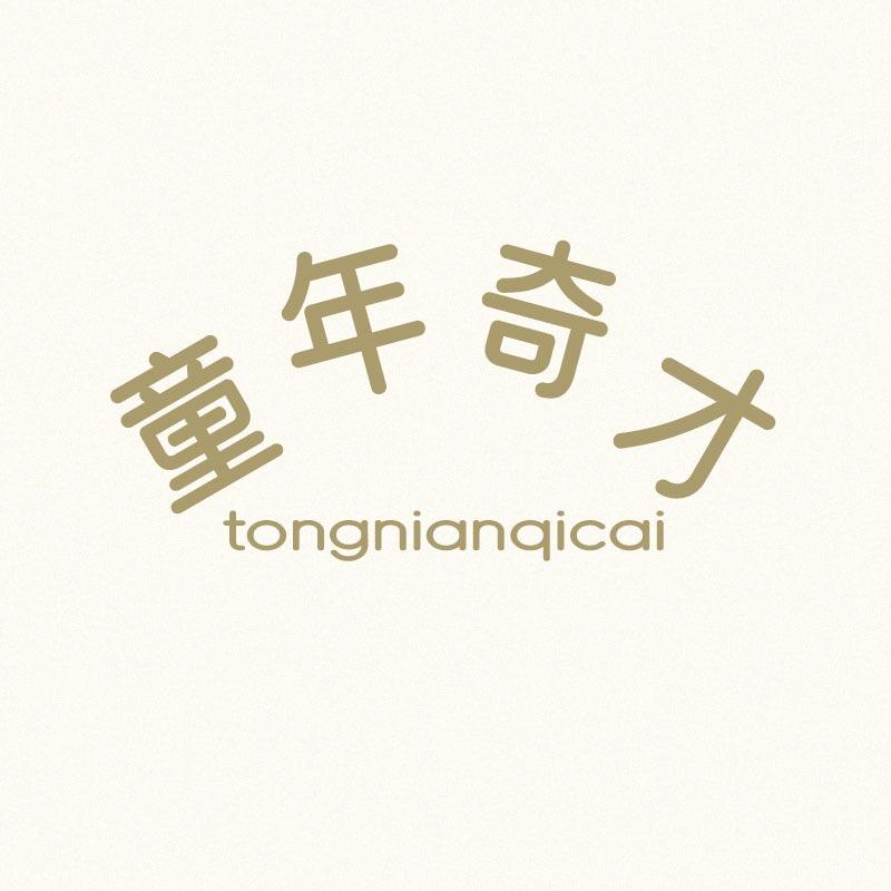 童年奇才潮系童装专卖店精选号