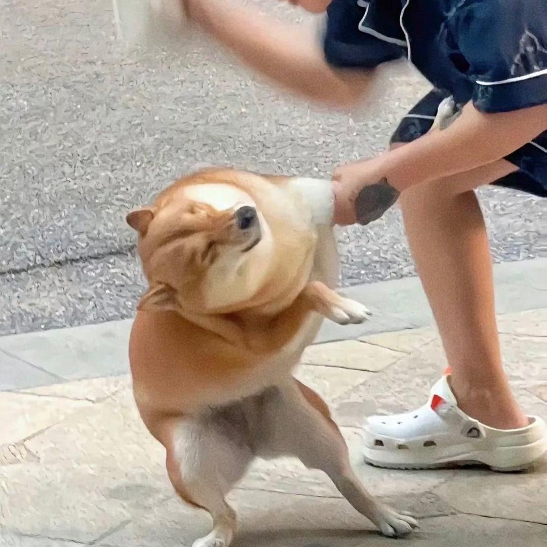铁柱