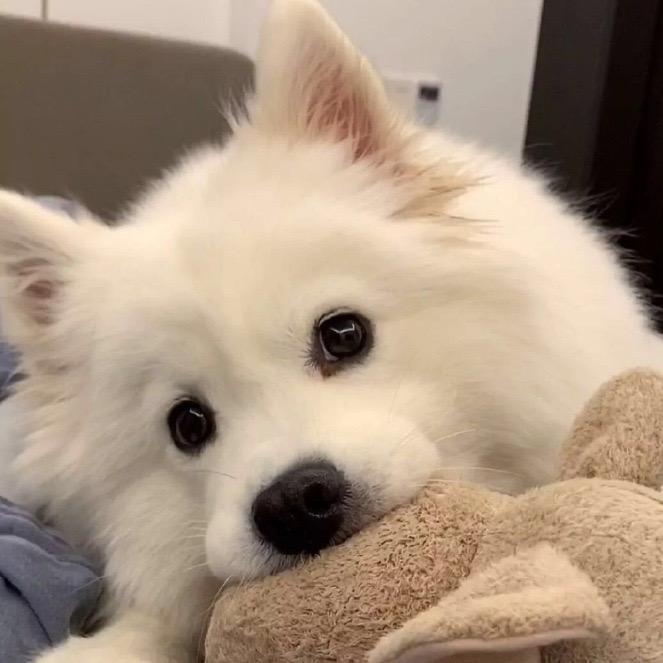 人生若只如初见-