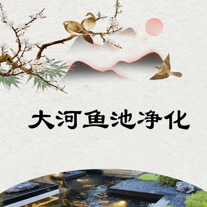 大河鱼池净化