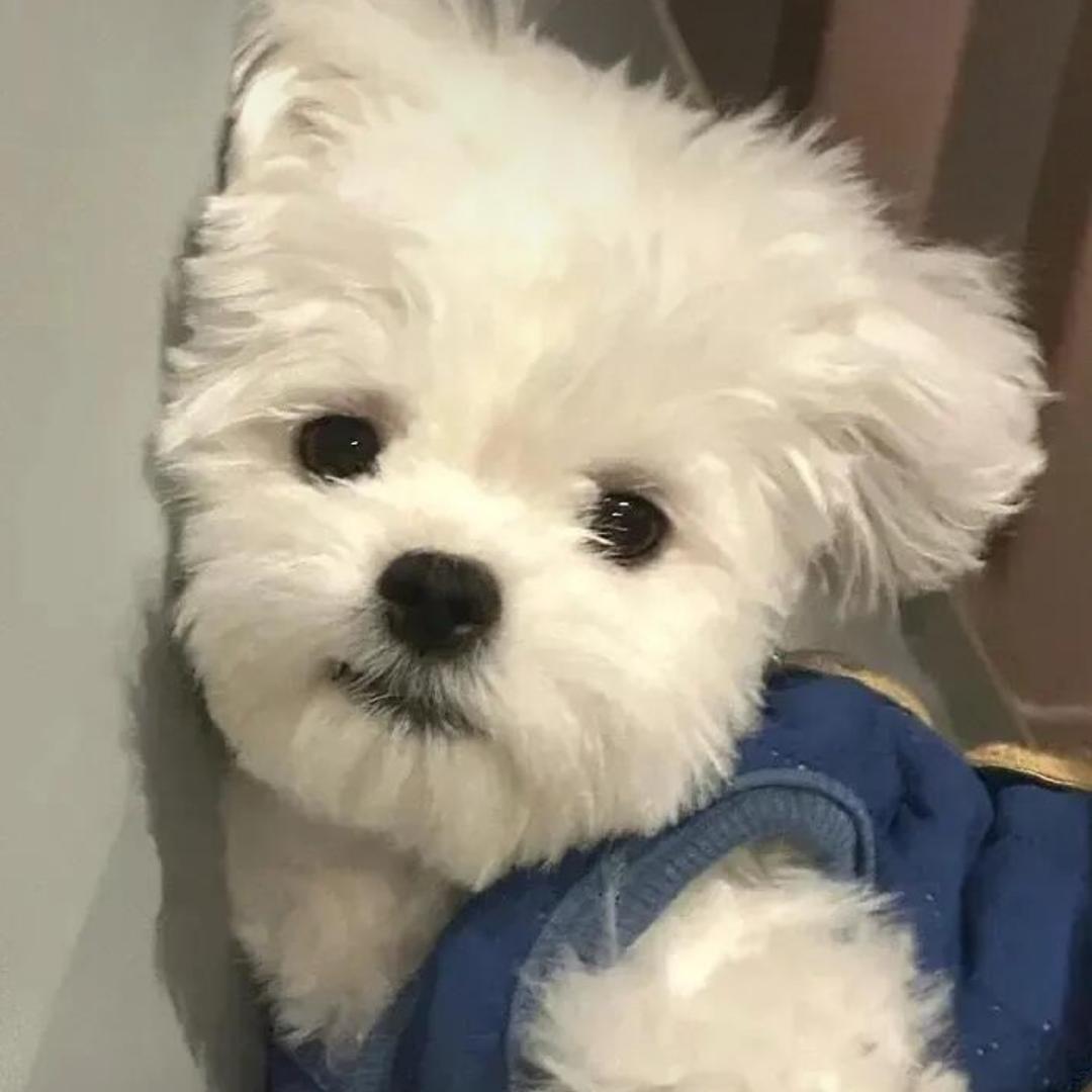 你人怪好的嘞