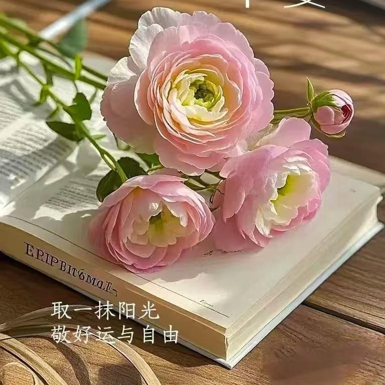 静姐姐
