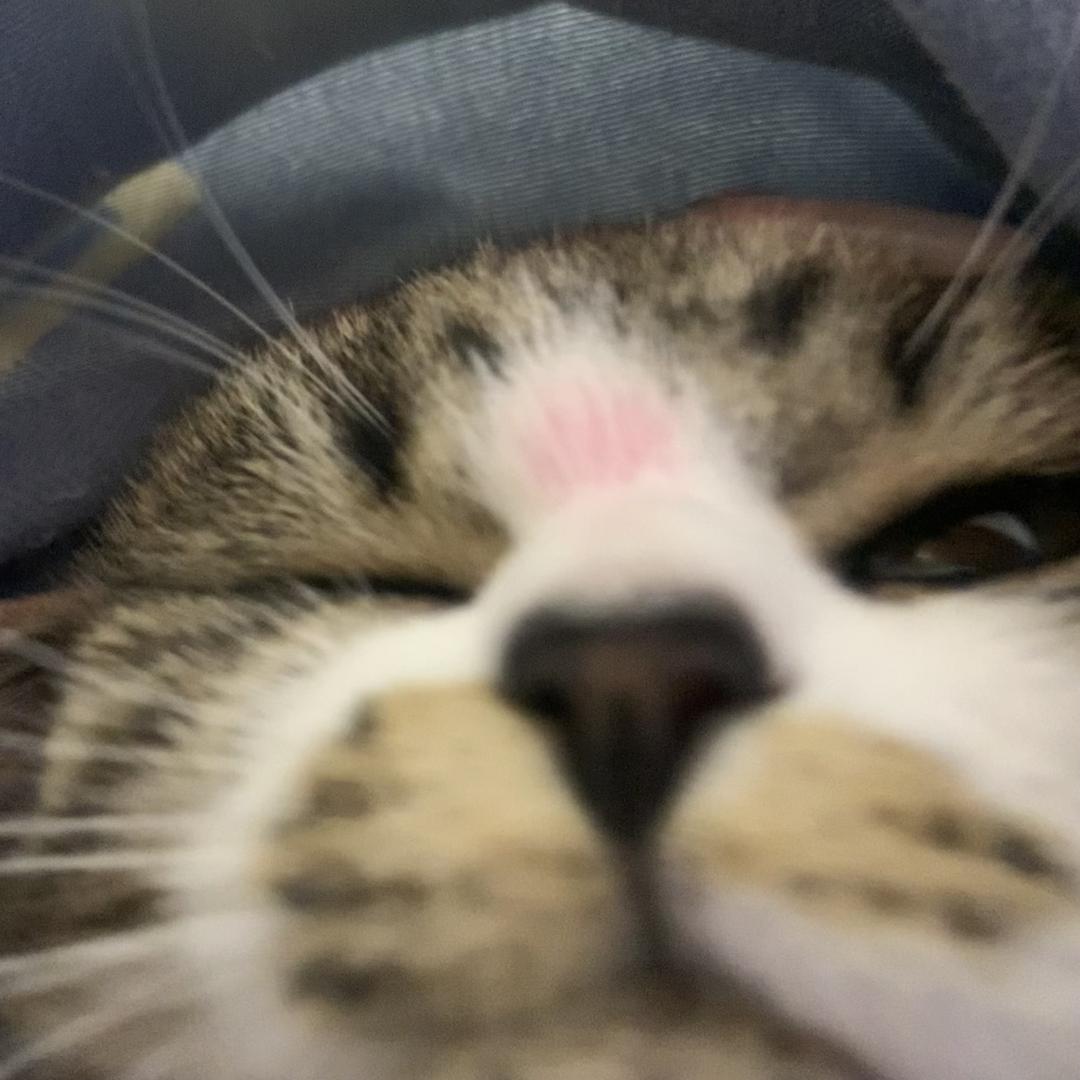 💨