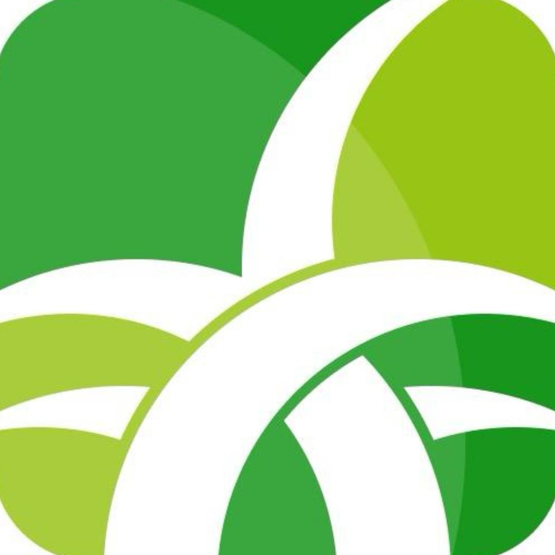 野草助手