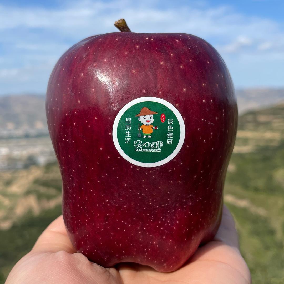 小农人-农小胖种植基地