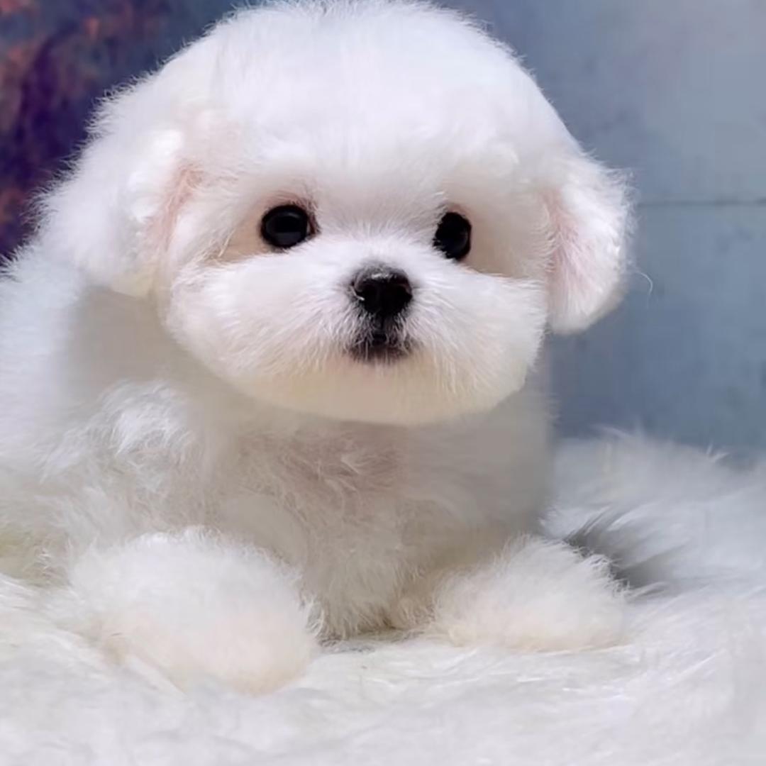 圣耀园林工具工厂