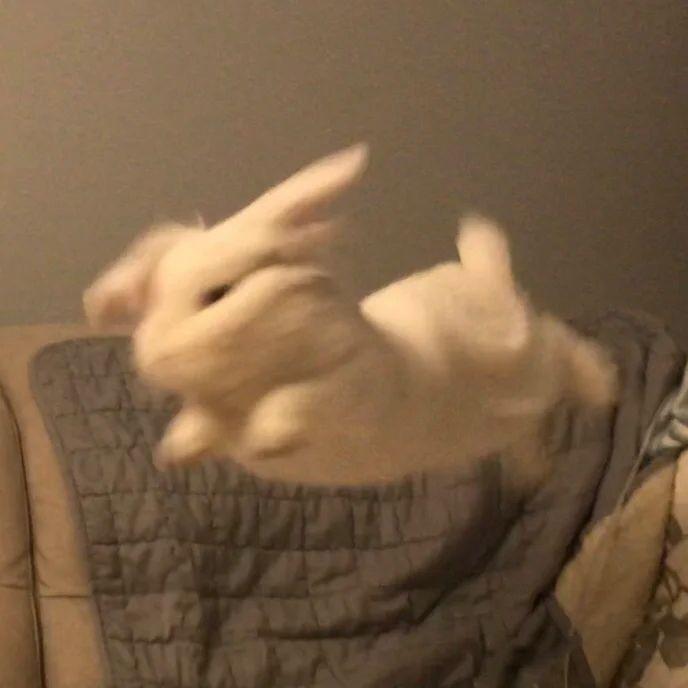 咔叽脆