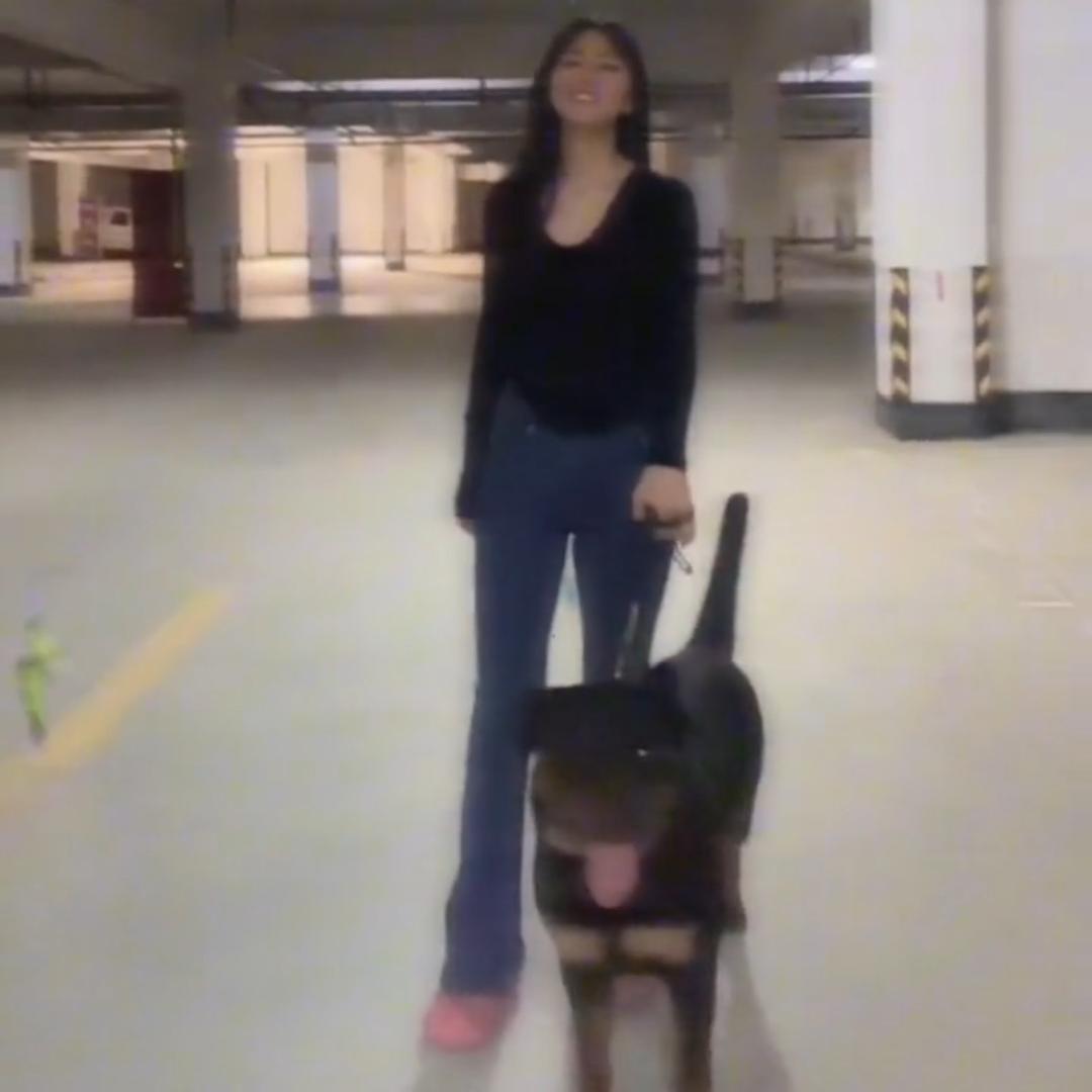 支支有一只罗威纳