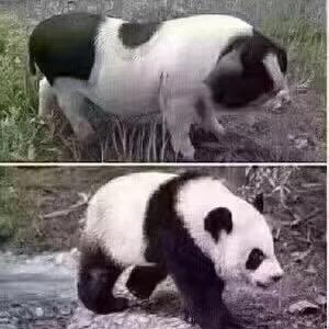 开心快乐每一天