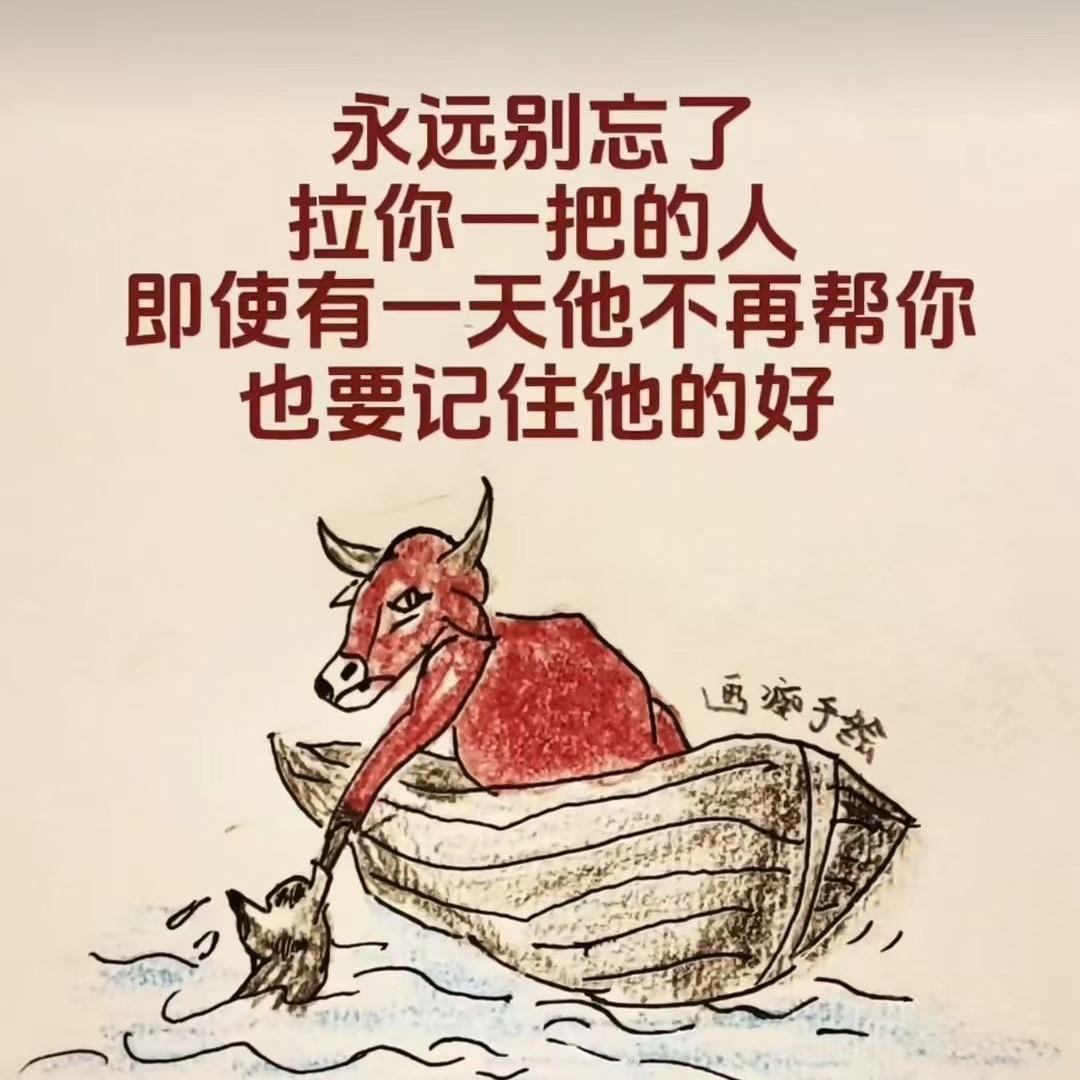 淡淡人生静静过