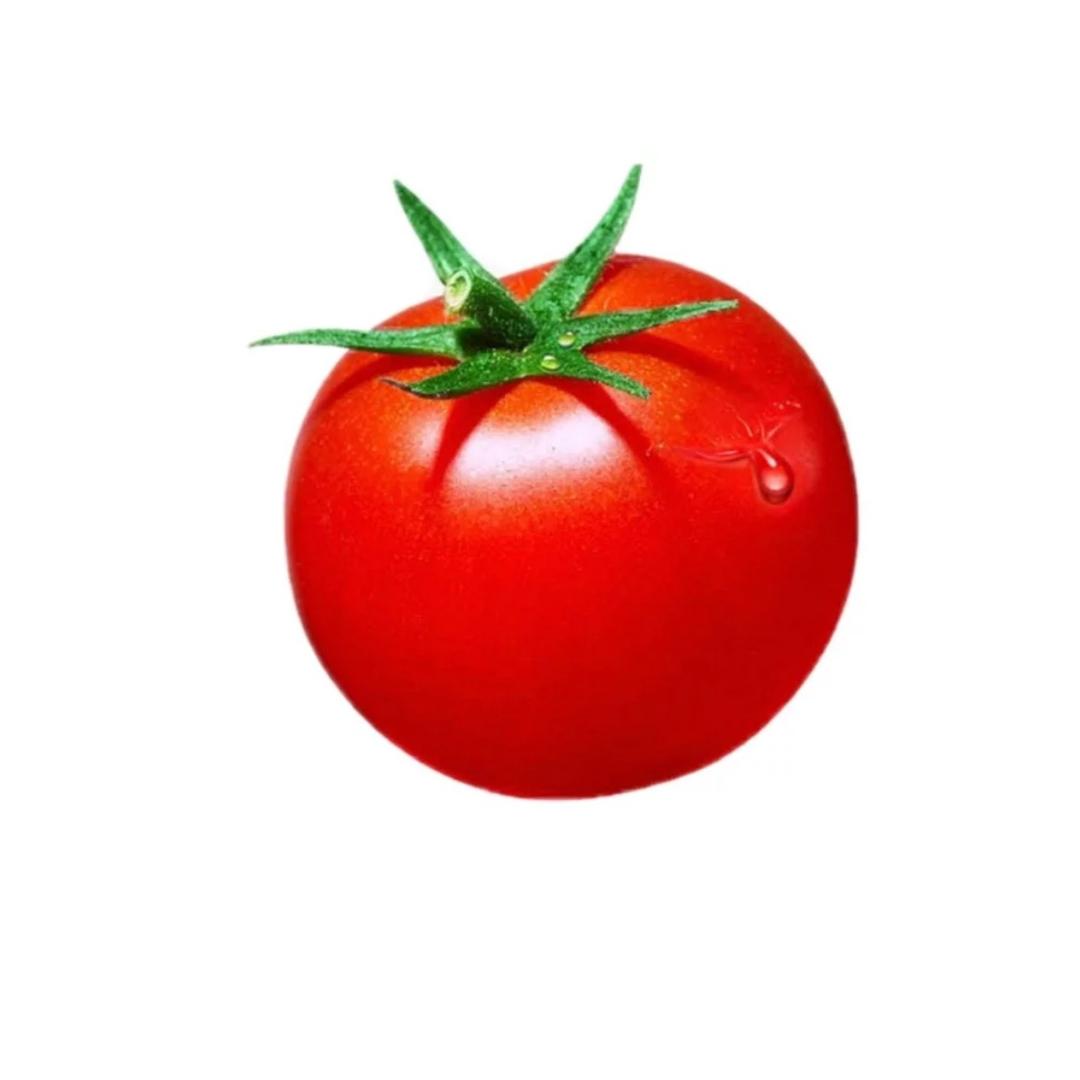 西红柿TOMATo_o