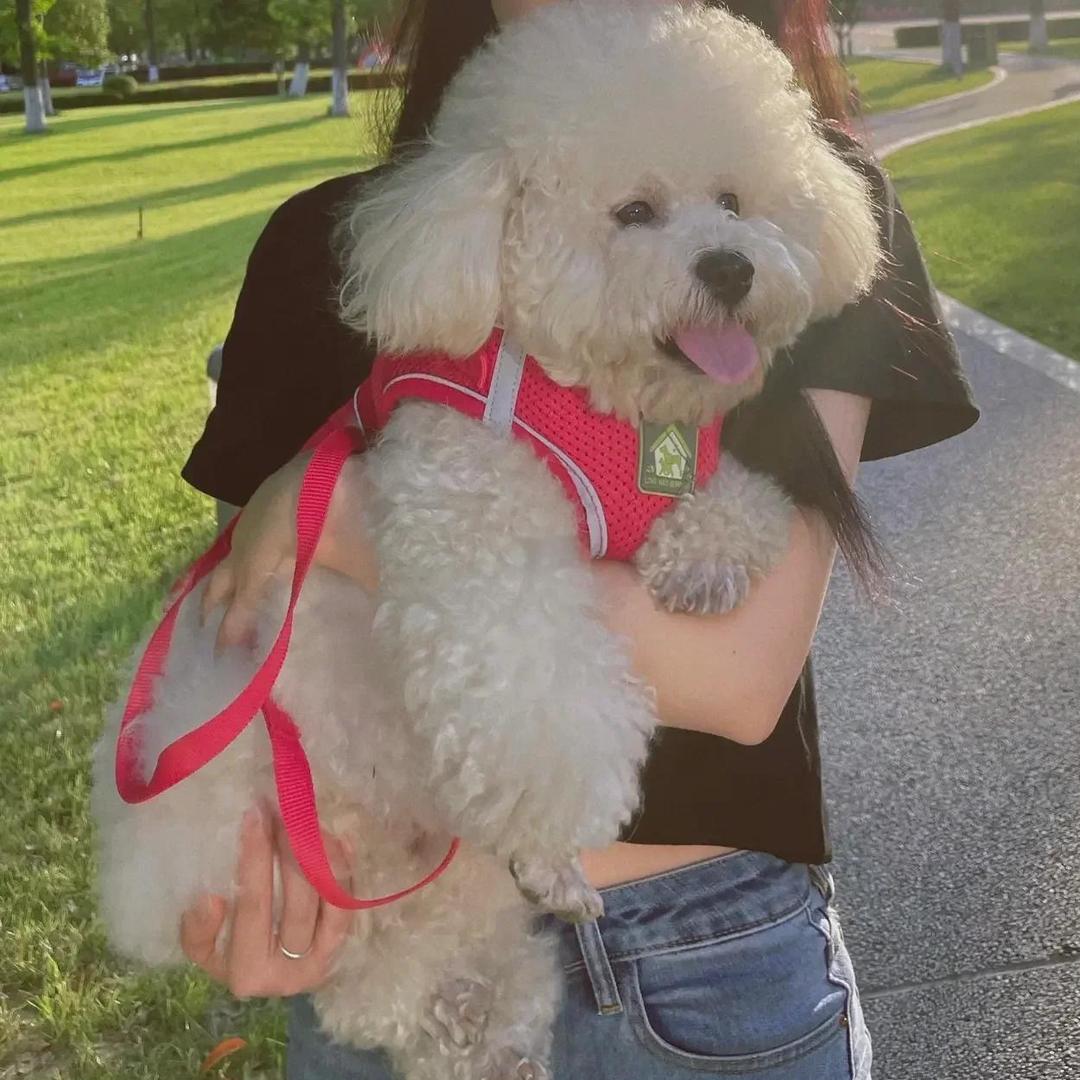 丨丶ㄝ灬註捔er丨