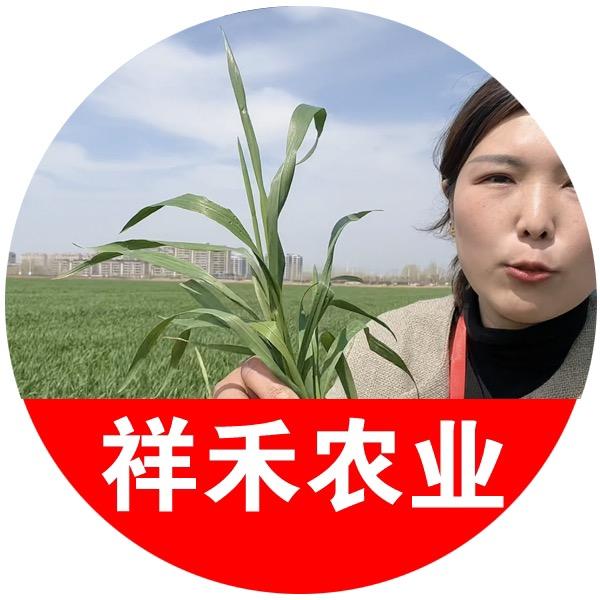 巨邦农资优选