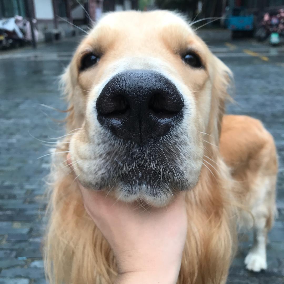 三三三三毛毛毛毛