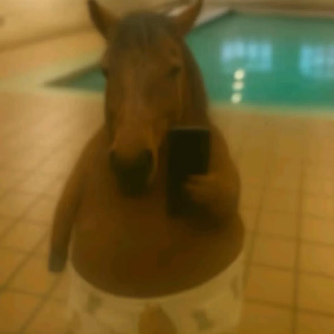 马晓丽（爱上于适版）