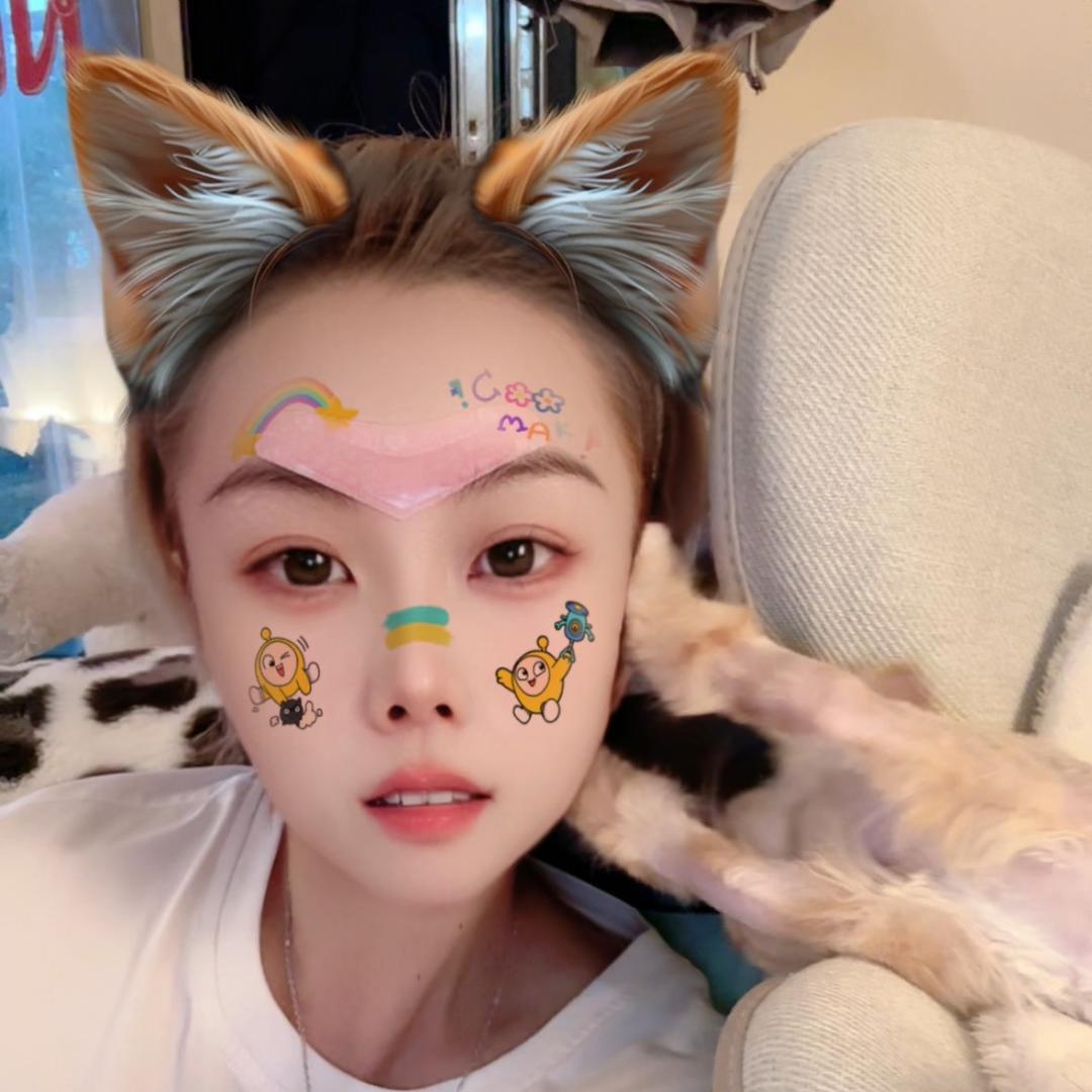 8猫一狗的温暖生活（豆豆）