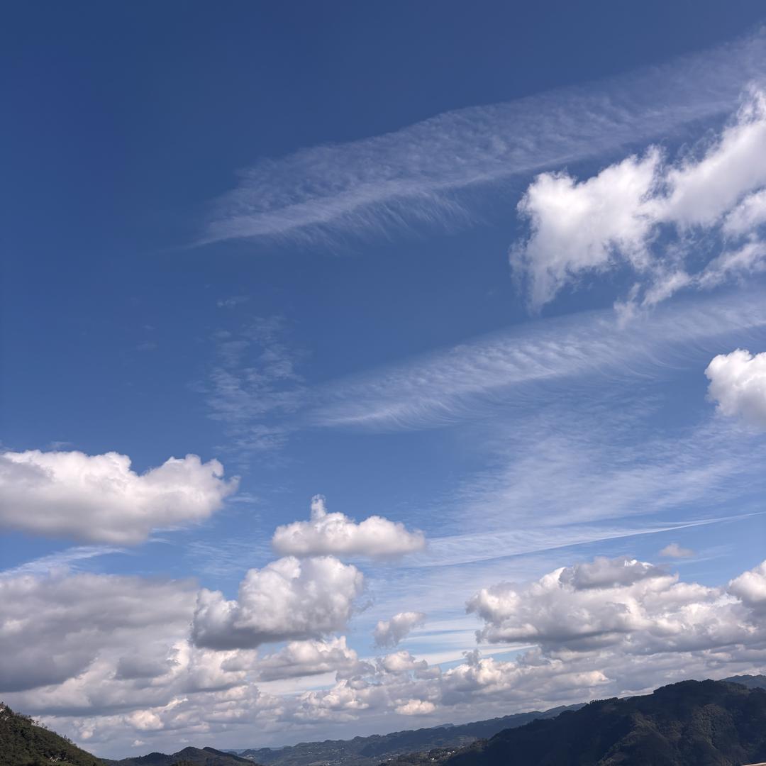 大趾王鞋巡司店