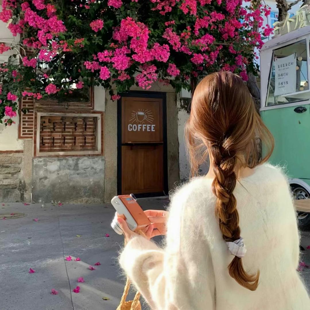 山茶花🌸