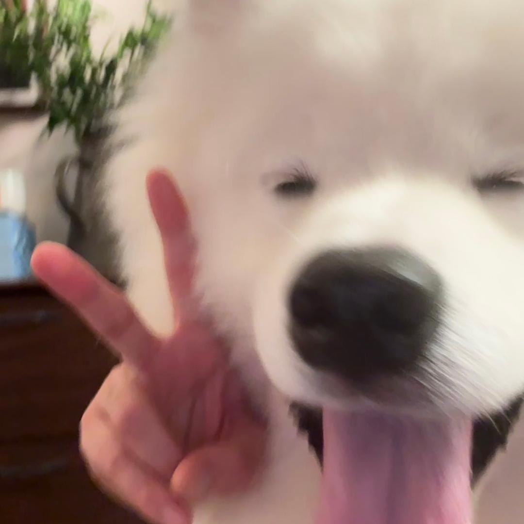 那我去给你煮碗面