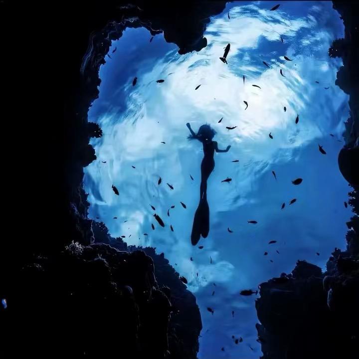 一只羊（被严浩翔回复版）