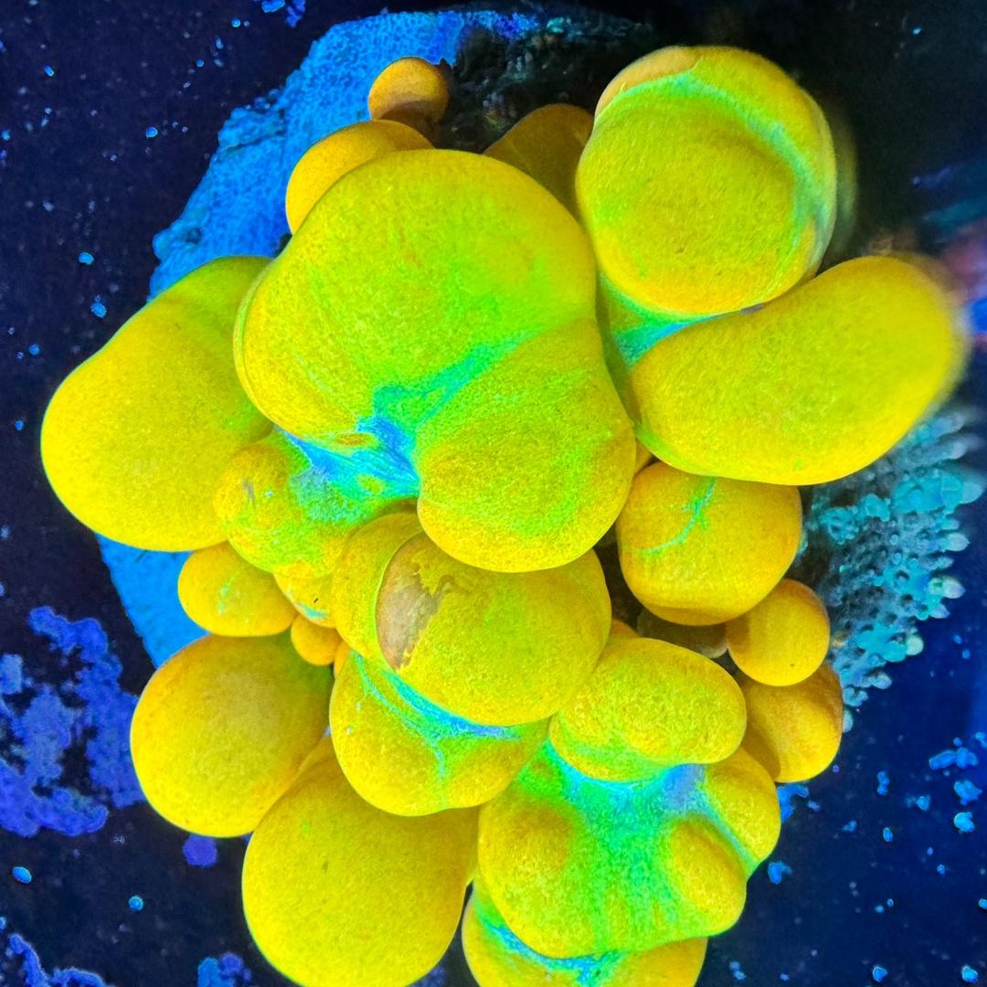 微观海洋