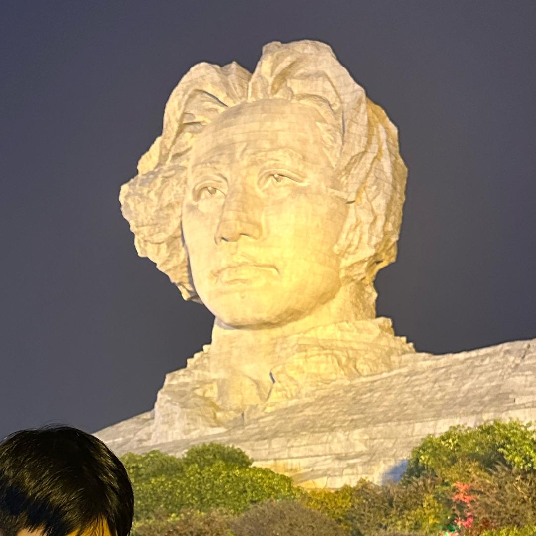 西西精选