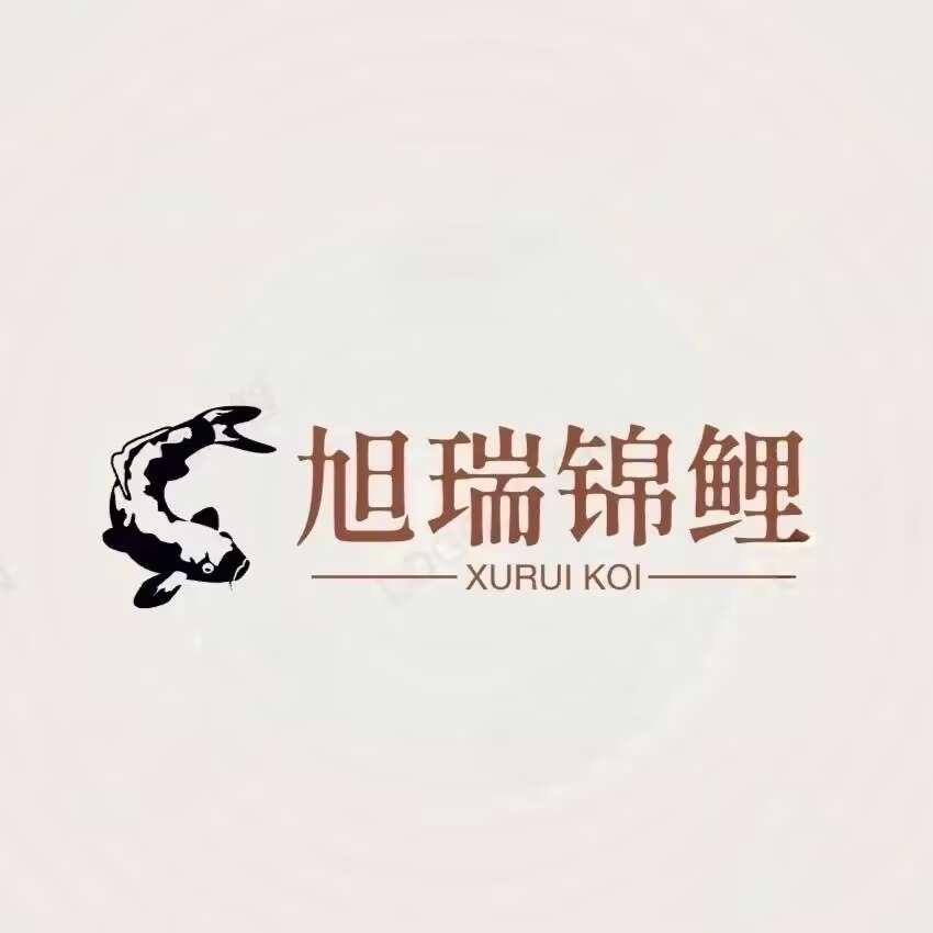 旭瑞锦鲤