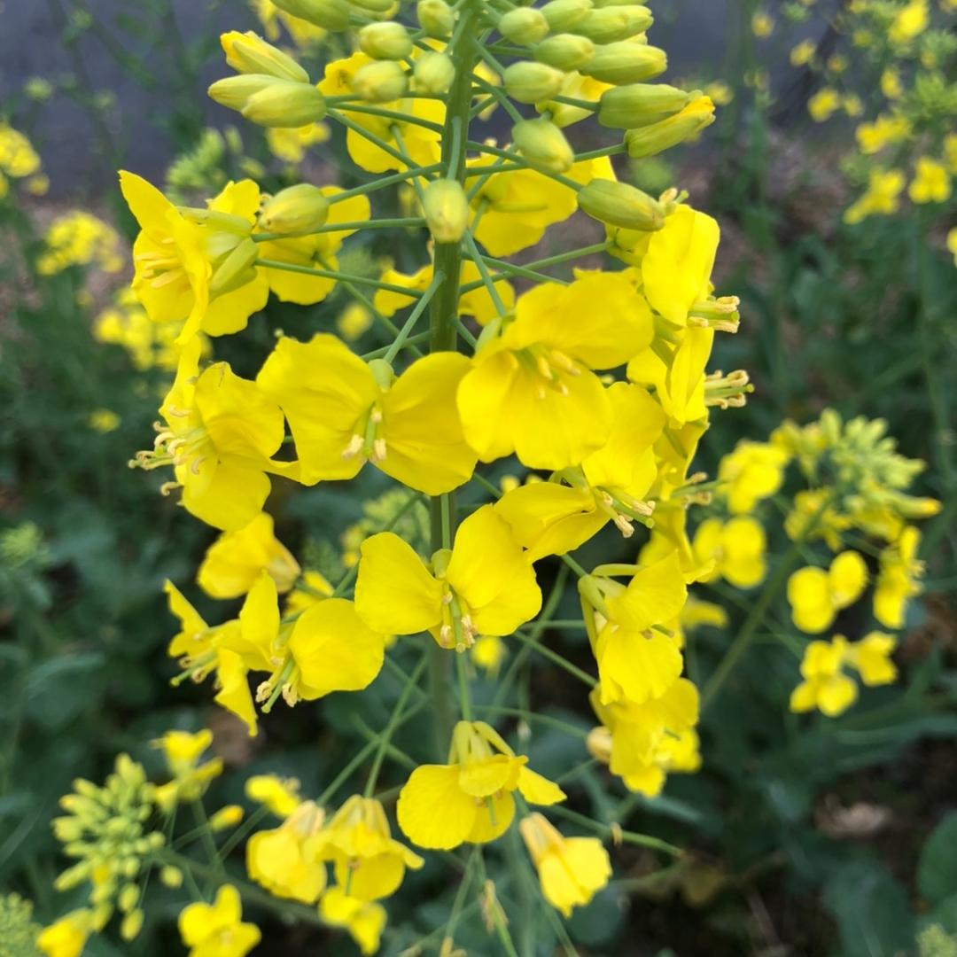 用户703356304966一晃就老了