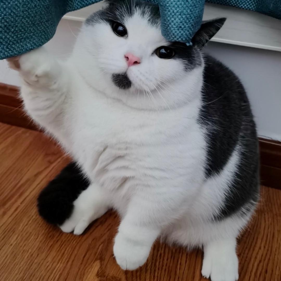 胡子的咖啡日记