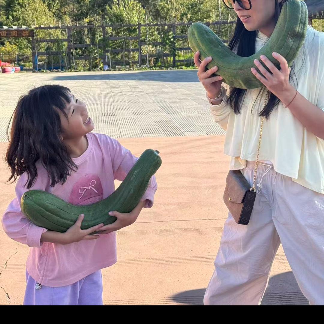 加油吧、小陀螺