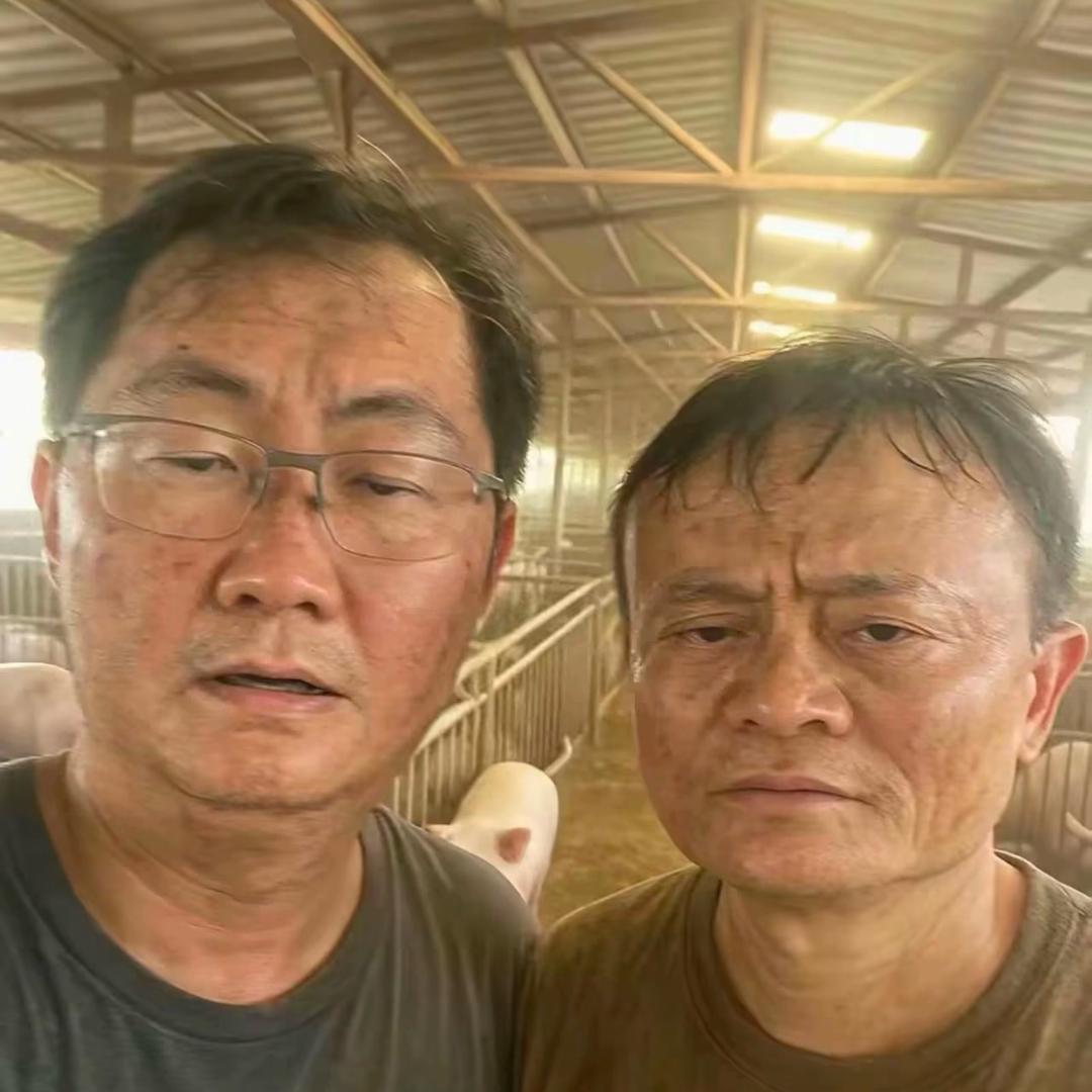 腾云