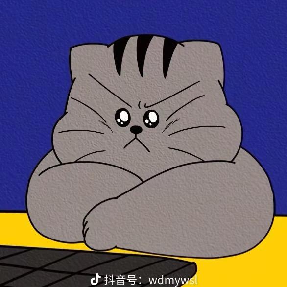 头顶一只喵喵🐱