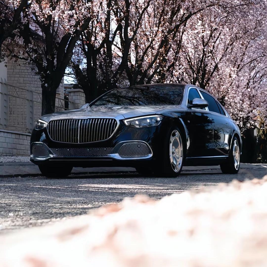 鑫物格澳门宗泽~