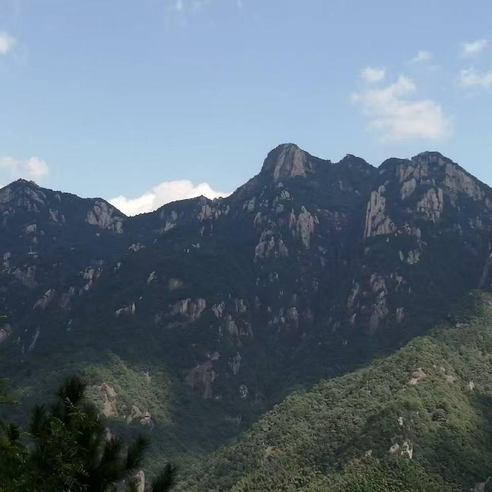 静沐暖阳