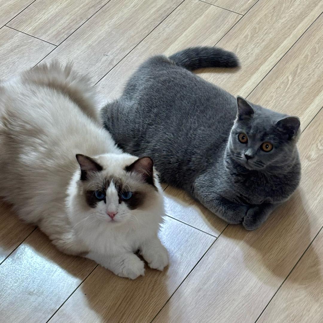 可心腰突康复直播小号