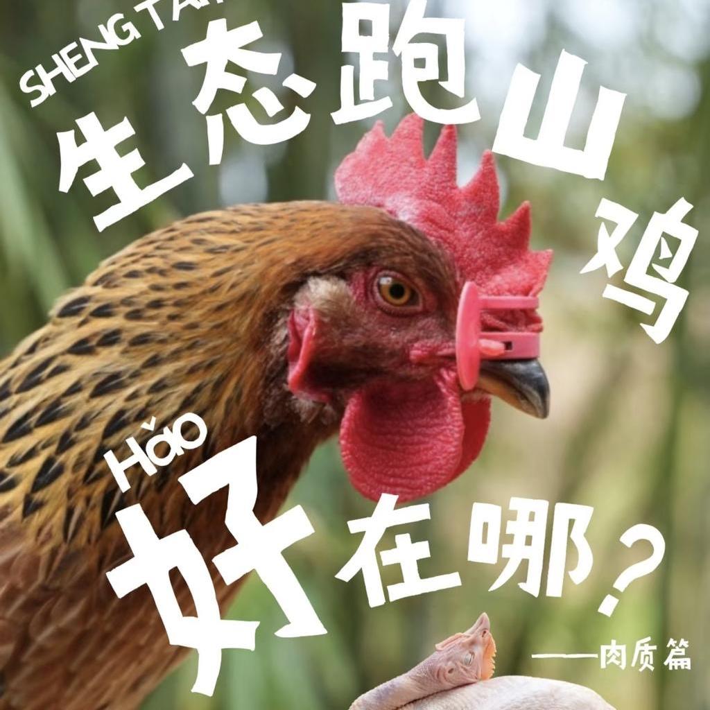 老昆明只卖老品种