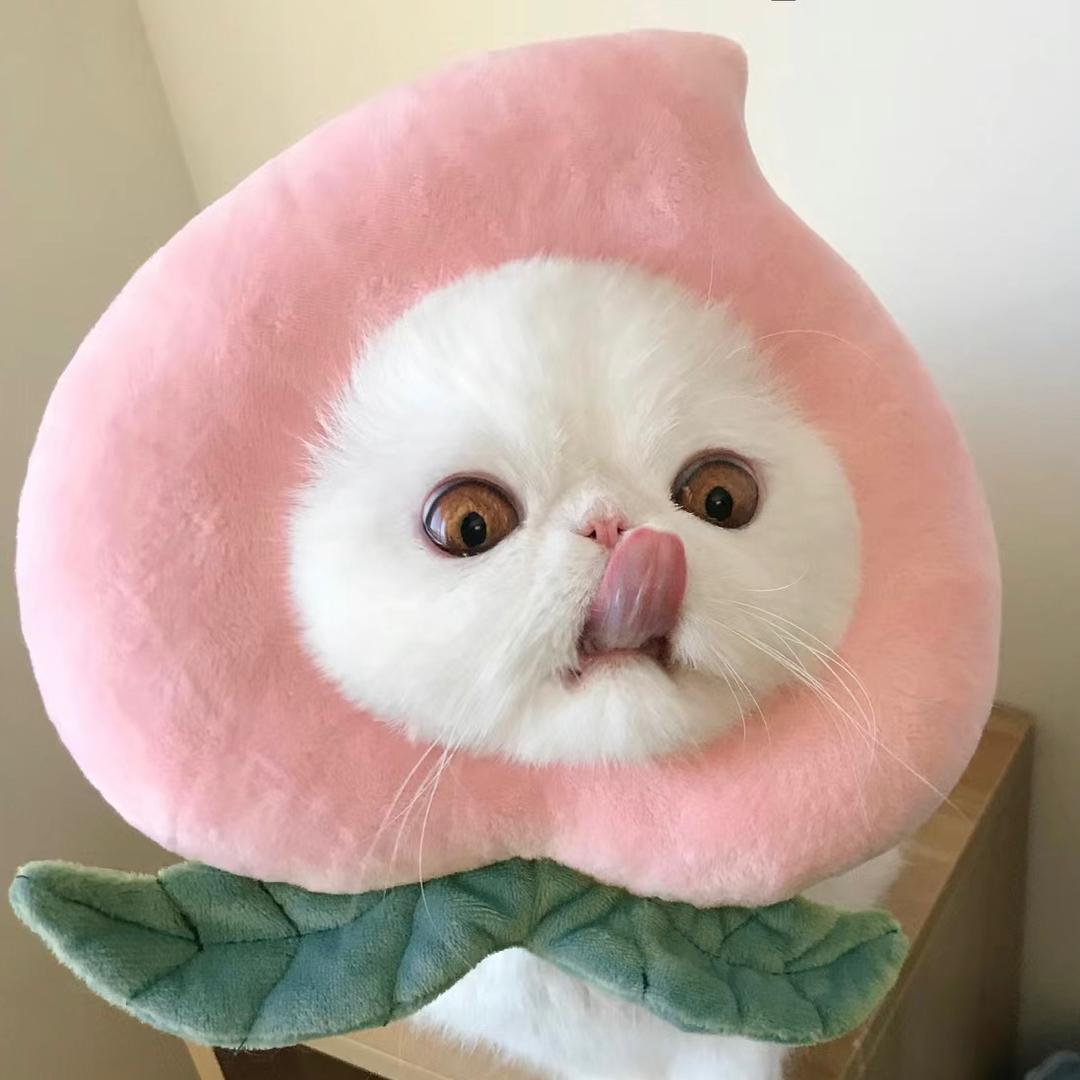 桃喜喜优选潮玩