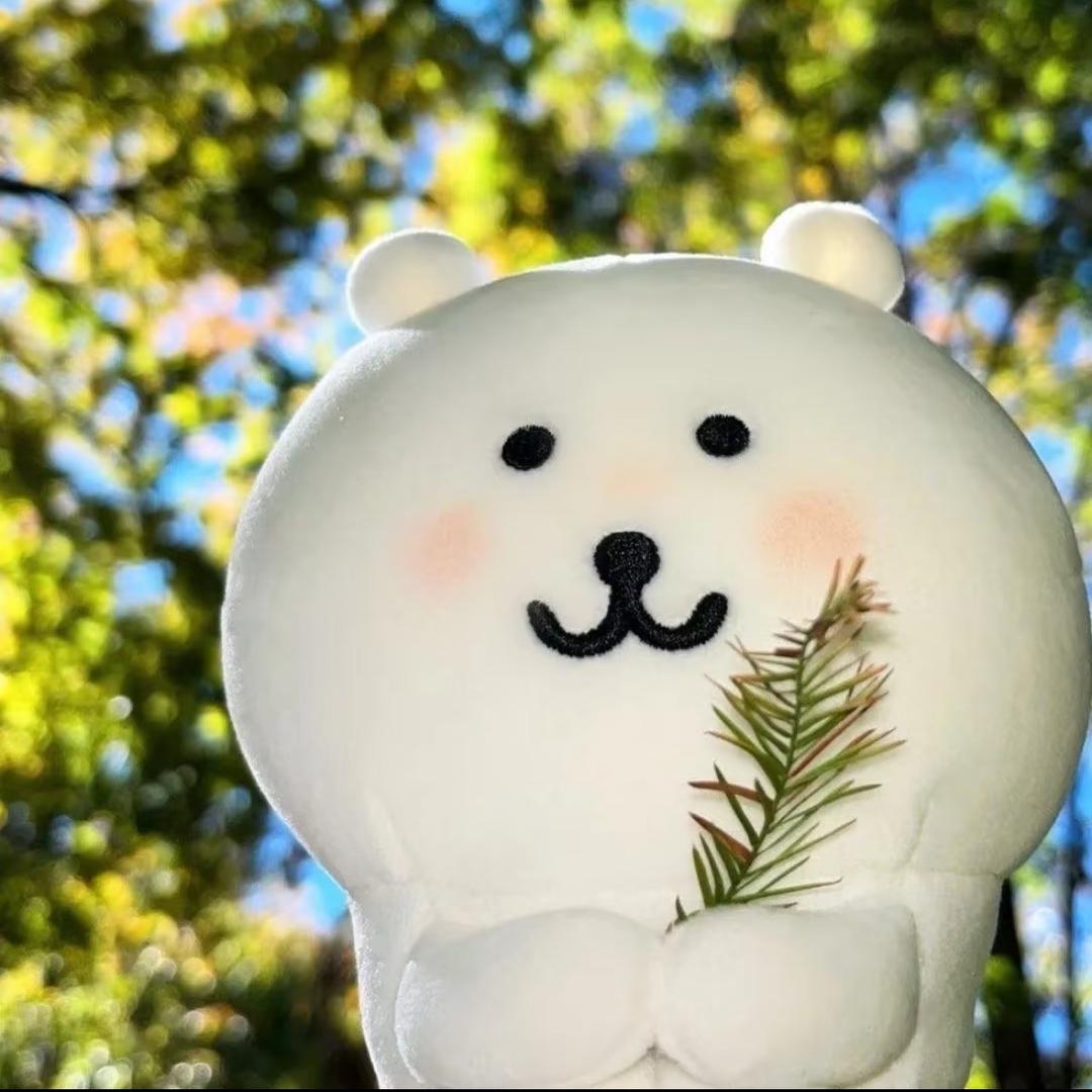年年年